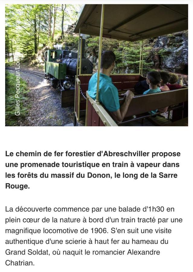 Maison Spacieuse Et Accueillante A Cirey-Sur-Vezouze + Jardin 外观 照片